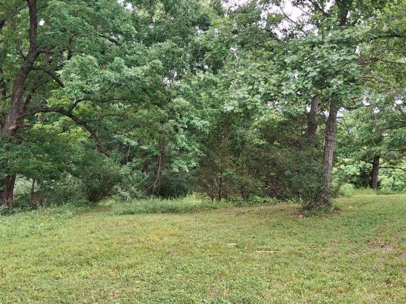 0 Tract 2 Cordova Road, Berry, KY 41003 Photo 5
