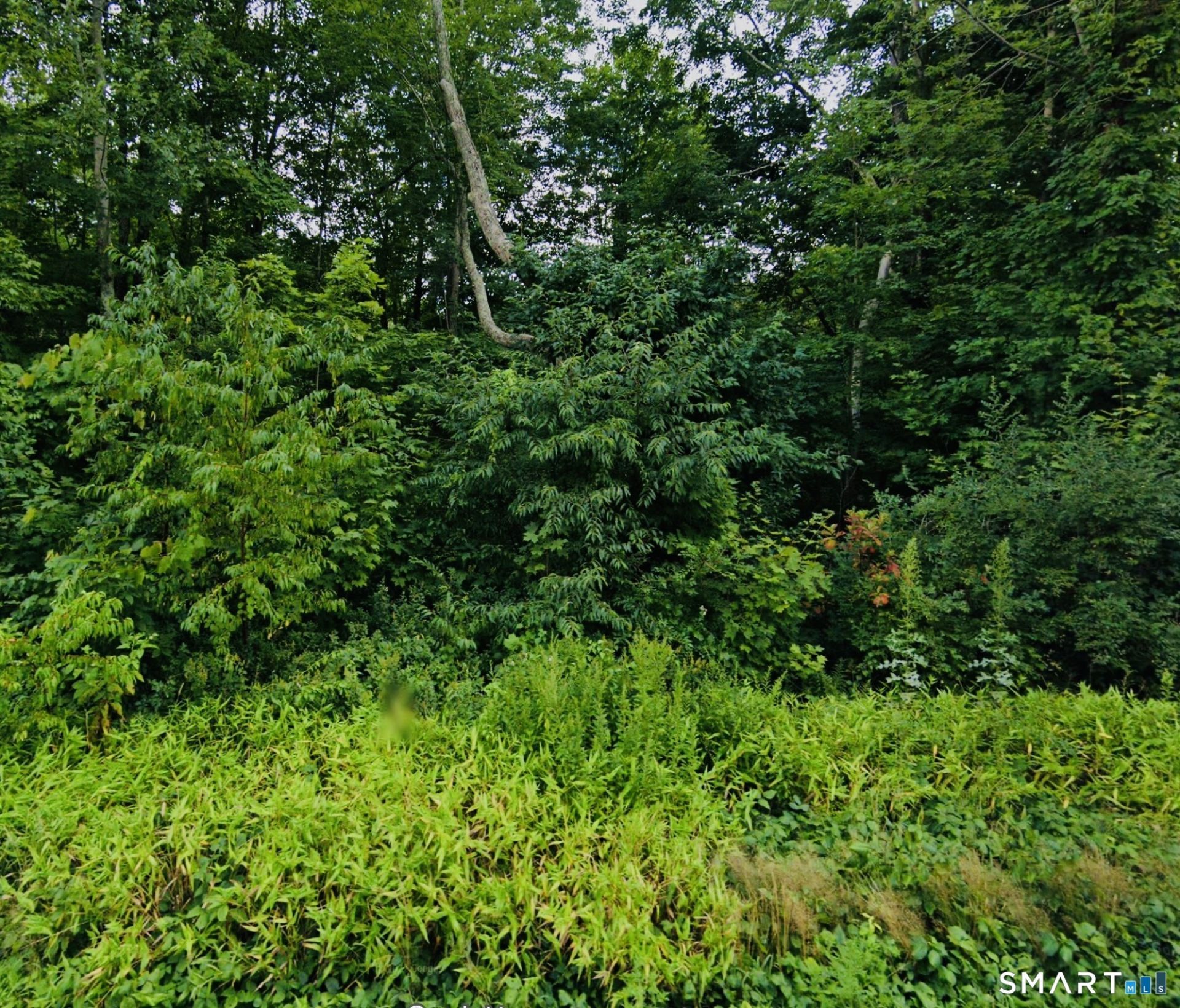 Lot 6 & 6a Mashamoquet, Pomfret, CT 06259 Main Photo
