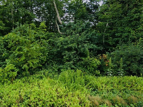 Lot 6 & 6A MASHAMOQUET, Pomfret, CT 06259