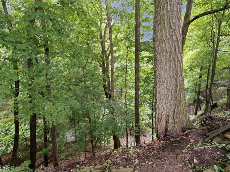 1351 N Circle View Drive, Seven Hills, OH 44131 Photo 21