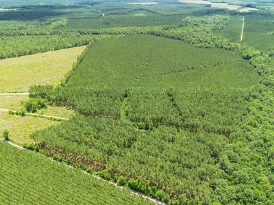 TBD Ten Acre Rd. , Andrews, SC 29510