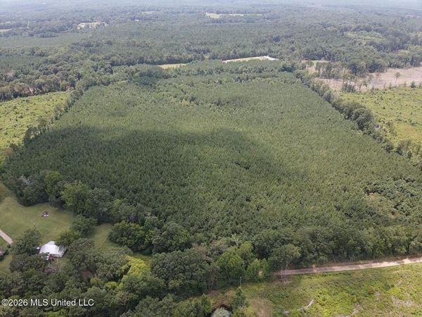 County Road 131b , Morton, MS 39117