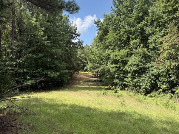 Highway 407 , Kilmichael, MS 39747