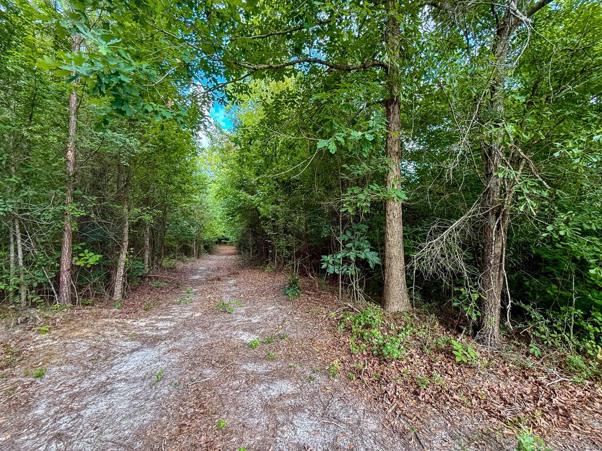 0 Henry Road Photo 4
