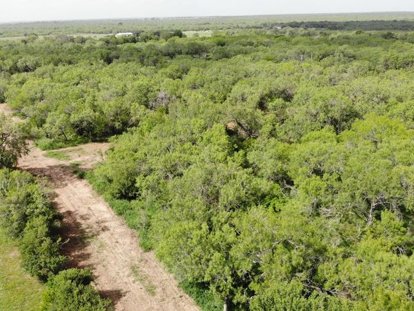 0 6th Street, Christine, TX 78026