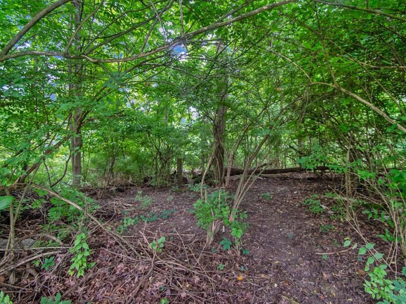 1435 St Rt 131, Miami Twp, OH 45150 Photo 31