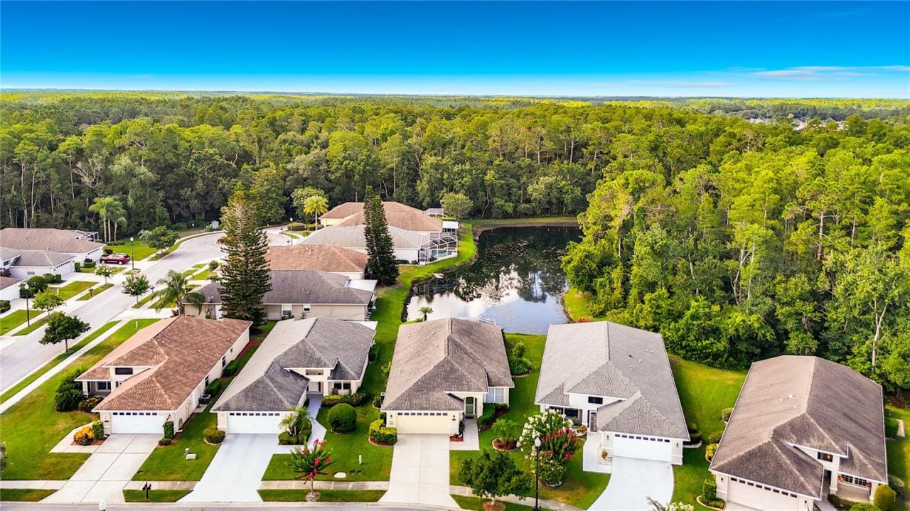 7828 Craighurst Loop , New Port Richey, FL 34655 Photo