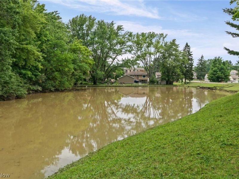 410 Lafayette Road, Unit 12, Medina, OH 44256 Photo 33