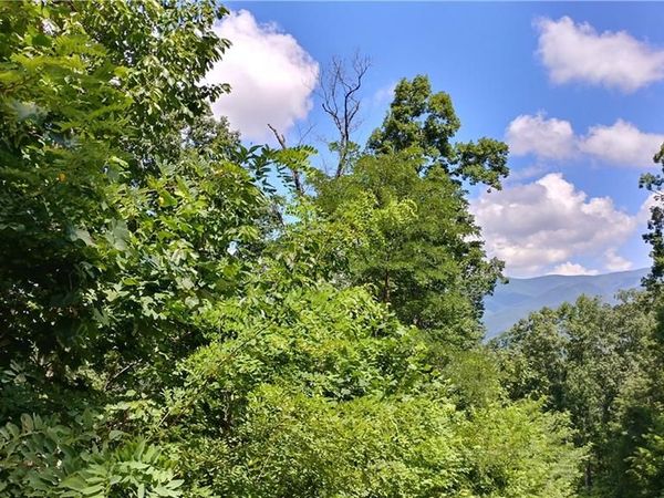 0 Goldmine Drive, Ellijay, GA 30536