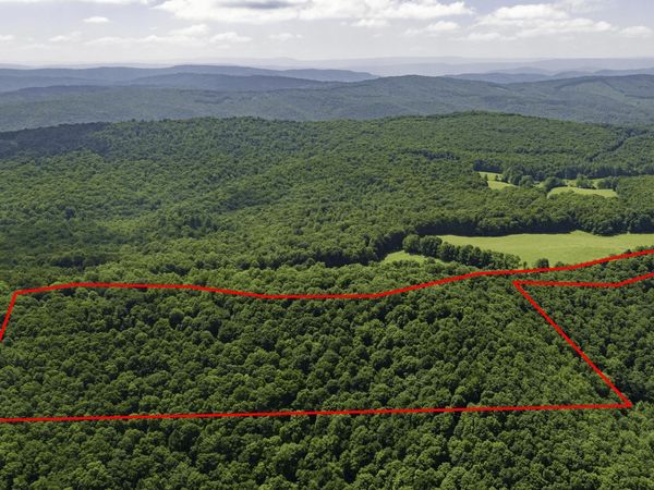 Kates Mountain Rd, Caldwell, WV 24925