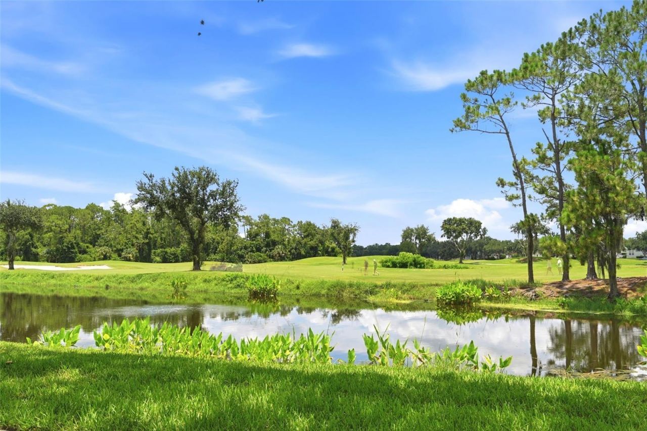 1020 Waterside Drive , Unit 1020, Celebration, FL 34747 Photo