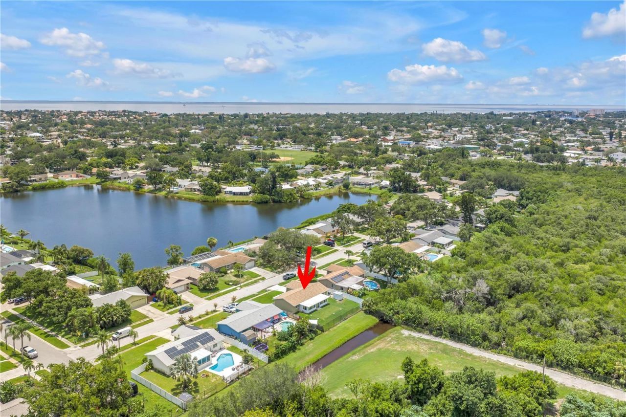 5812 16th Lane Ne, Saint Petersburg, FL 33703 Photo