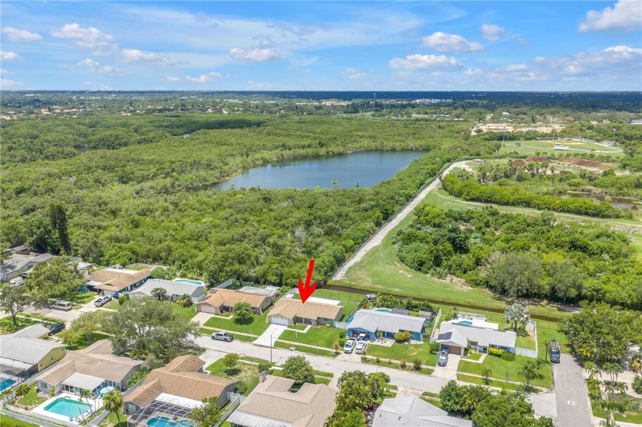 5812 16th Lane Ne, Saint Petersburg, FL 33703 Photo