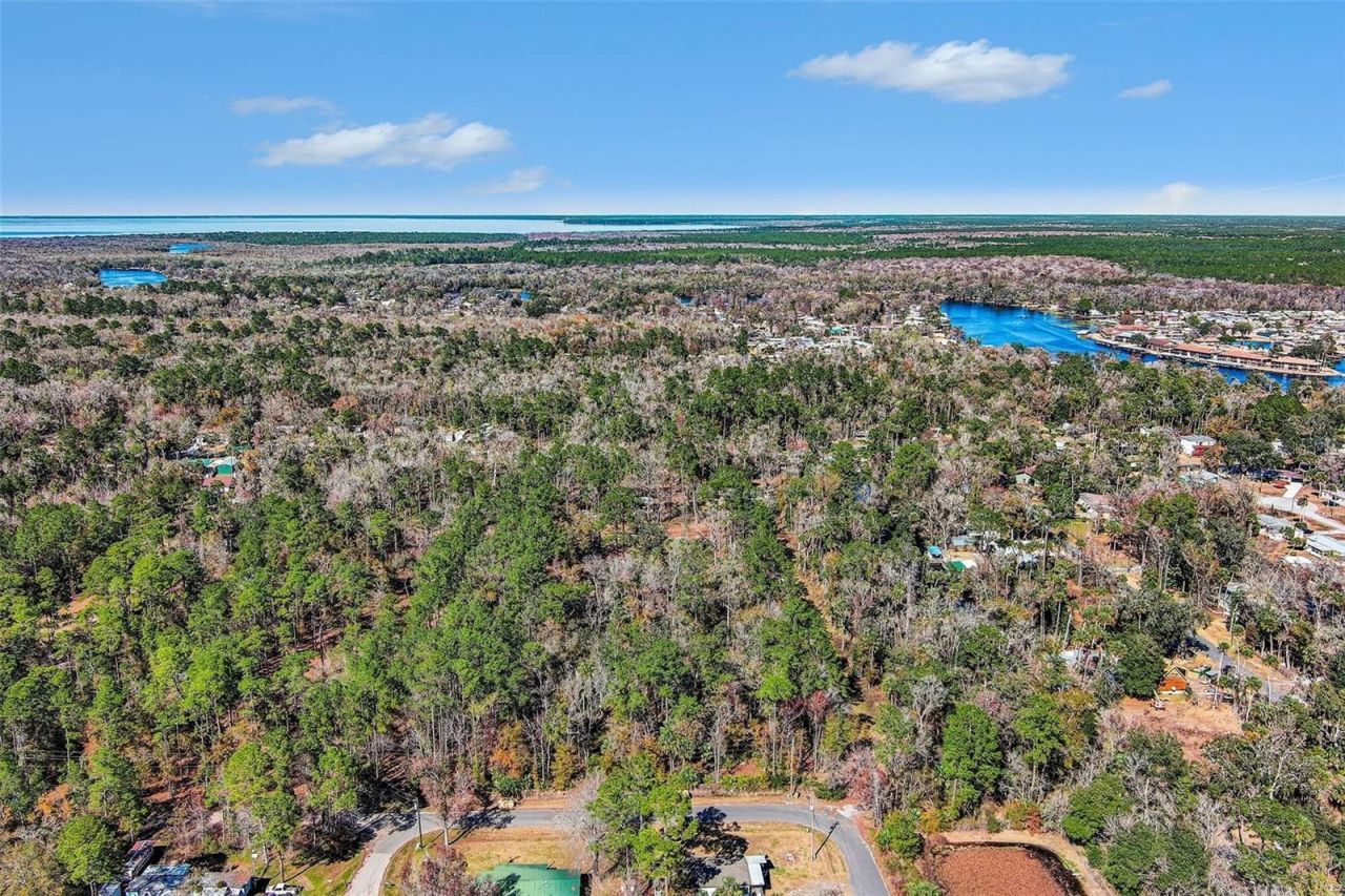 24421 Trespass Trail , Astor, FL 32102 Photo
