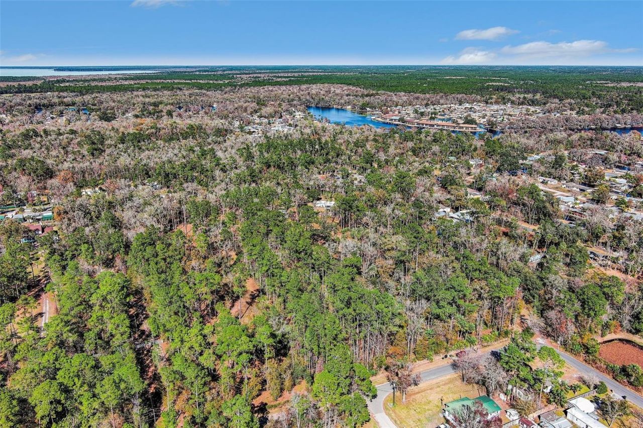 24421 Trespass Trail , Astor, FL 32102 Photo