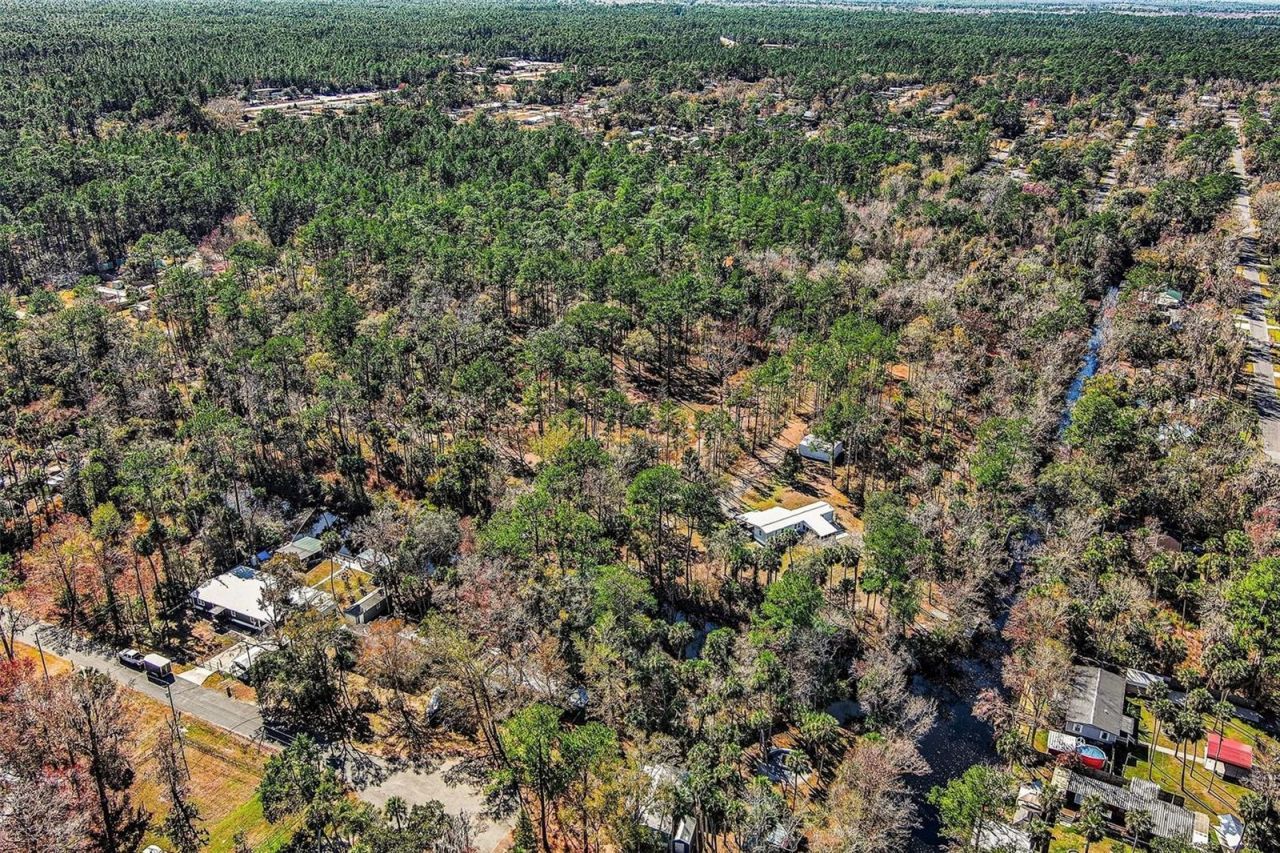 24421 Trespass Trail , Astor, FL 32102 Photo