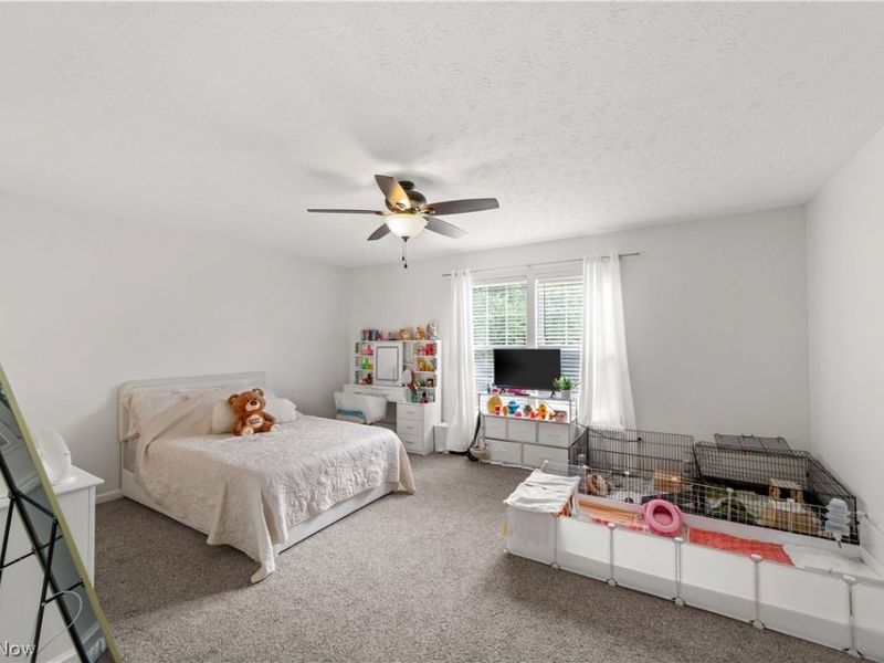 4712 Churchill Drive, Avon, OH 44011 Photo 30