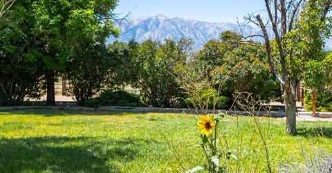 1917 Arabian Lane, Gardnerville, NV 89410 Photo