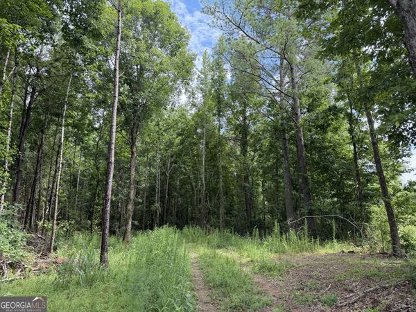 004 County Rd 445, Haleyville, AL 35565