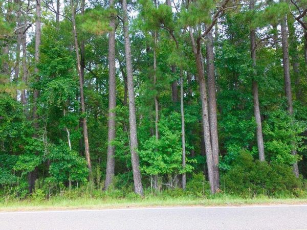 0000a Near 855 Furnie Hamm Road, Clarendon, NC 28432