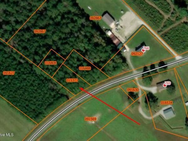 0000 Near 855 Furnie Hamm Road, Clarendon, NC 28432