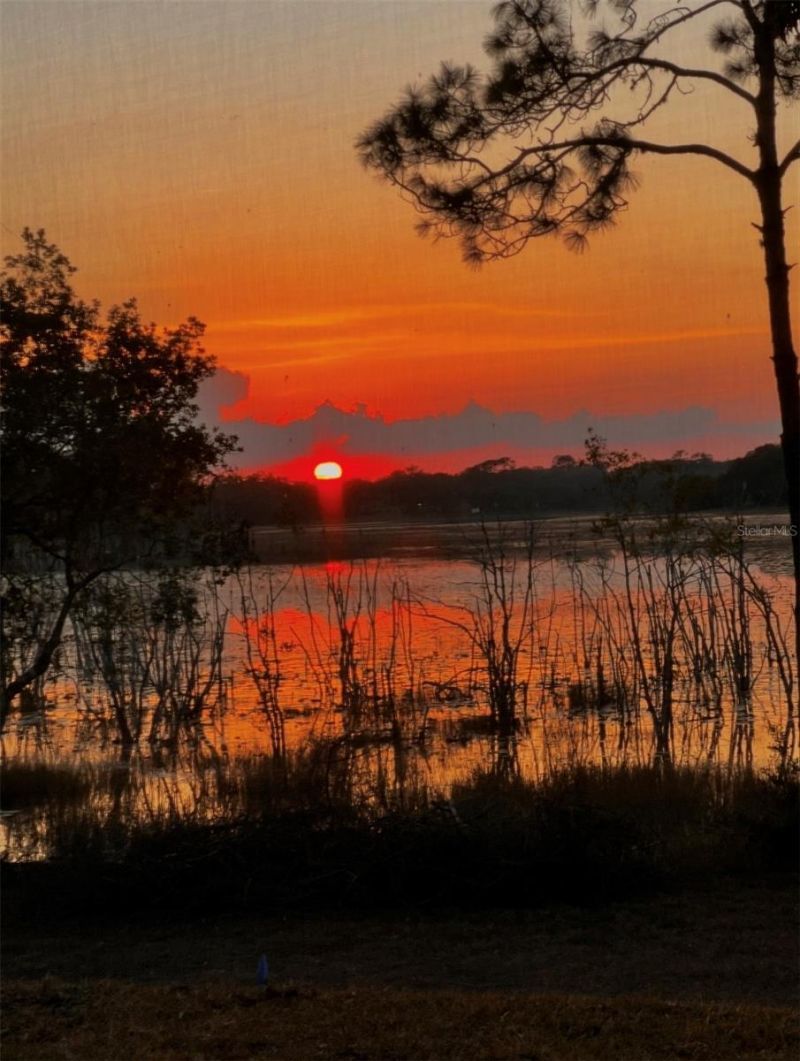 3828 Oak Pointe Drive, Lady Lake, FL 32159 Photo