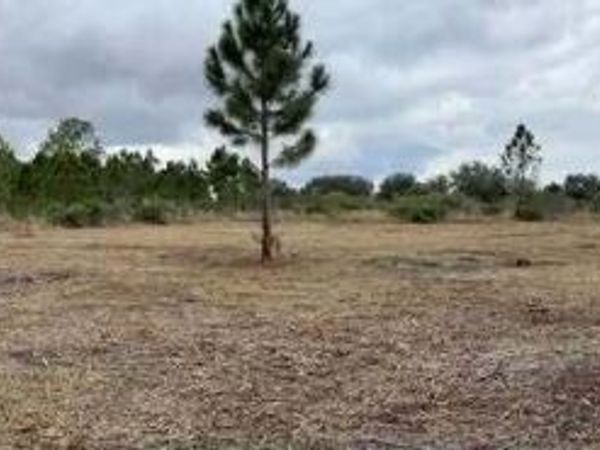 18134 NW 298th Street, Okeechobee, FL 34972