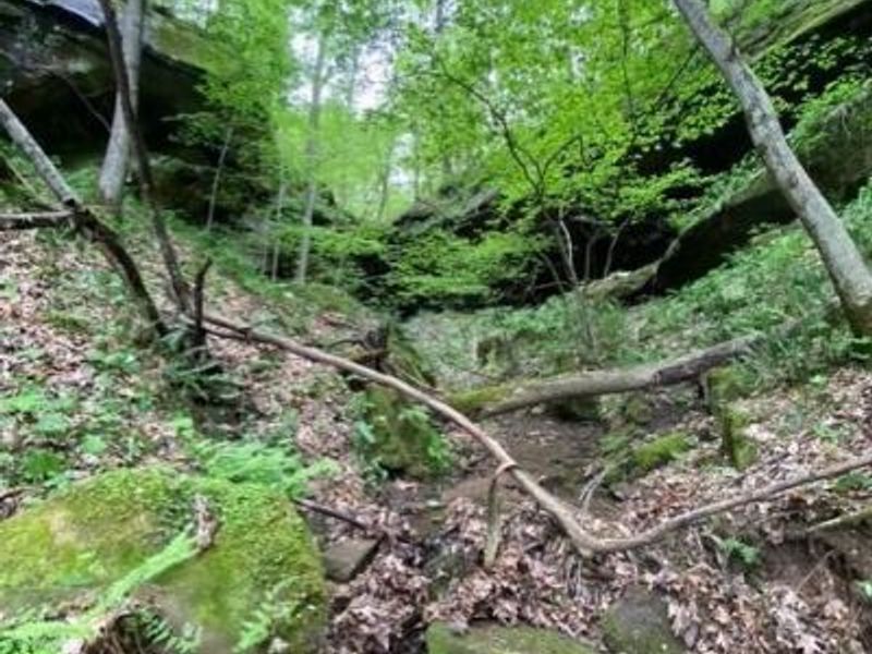 23085 Jordan Run Road, Coolville, OH 45723 Photo 15