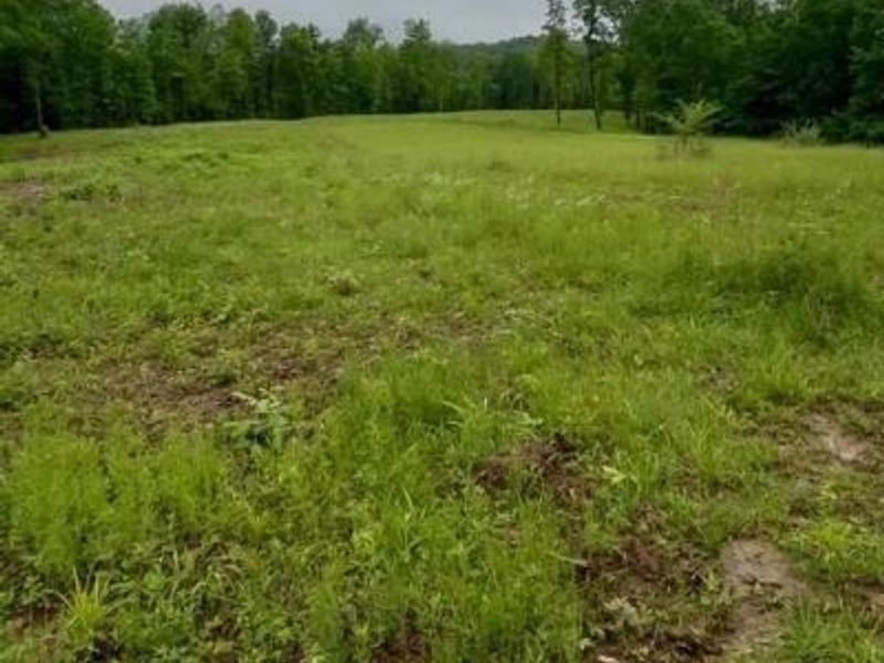 23085 Jordan Run Road, Coolville, OH 45723 Photo 4