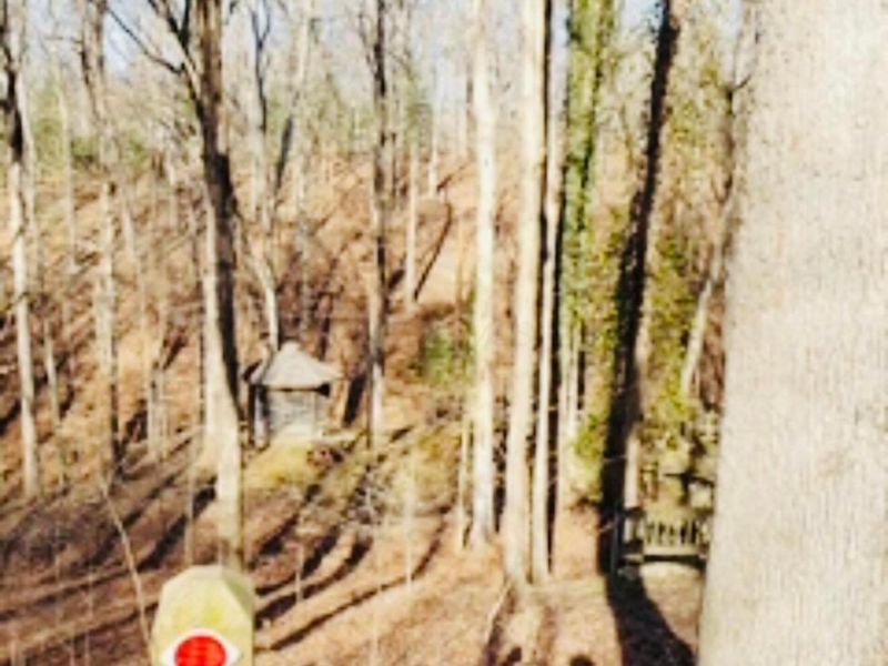 454 Natchez Lane, Sugar Grove, OH 43155 Photo 6