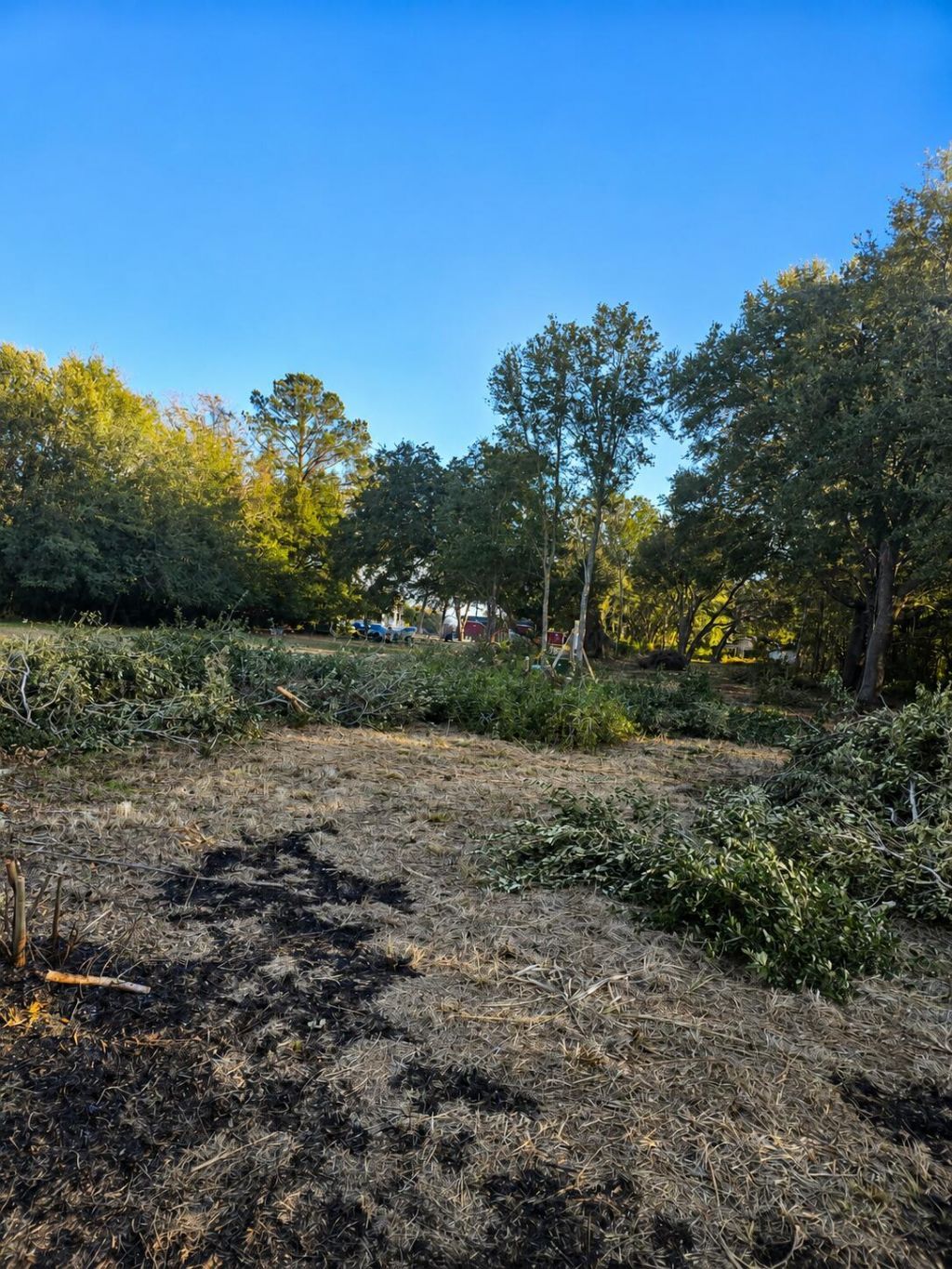 2033 Holly Creek Road Photo 7