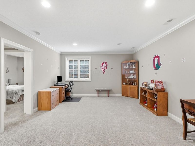 4430 Rammelsberg Drive, Galena, OH 43021 Photo 49