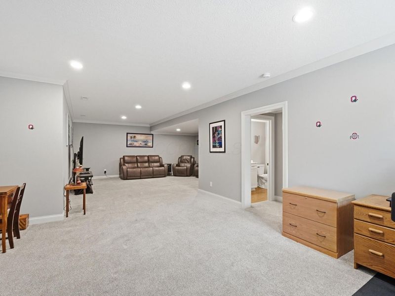 4430 Rammelsberg Drive, Galena, OH 43021 Photo 50