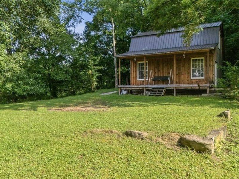 360 Newells Run Road, Newport, OH 45768 Photo 12