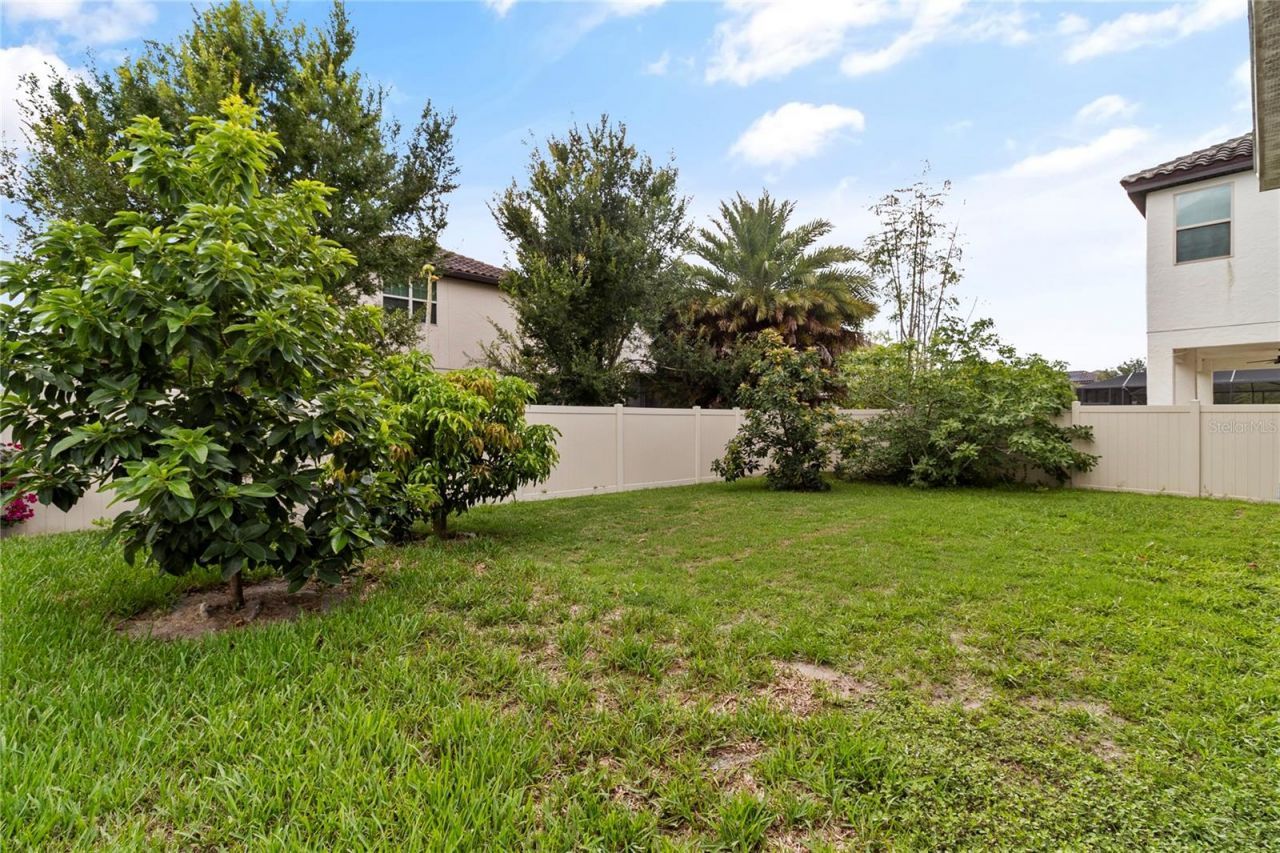 8764 Powder Ridge Trail , Windermere, FL 34786 Photo