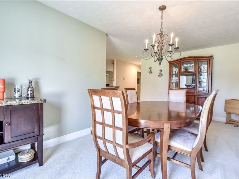 128 Stacey Court, Madison, OH 44057 Photo 28