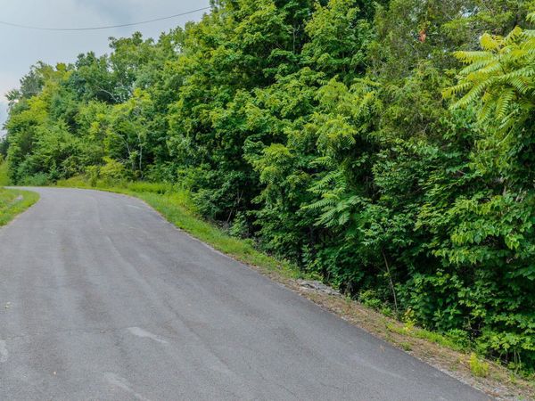 Lot 35 Fishtail Cove, Dandridge, TN 37725
