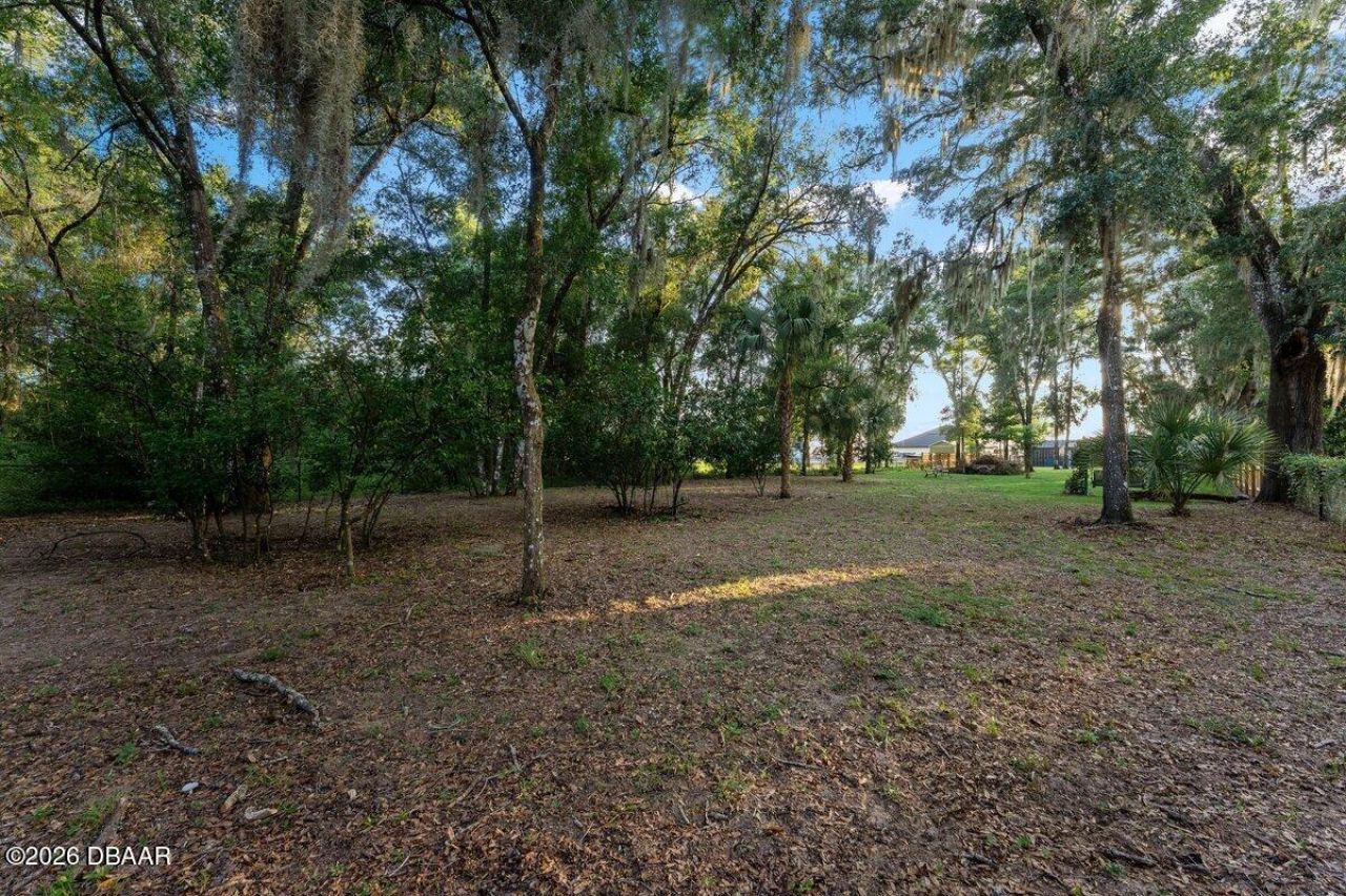 590 W Lake Winnemissett Drive, Deland, FL 32724 Photo