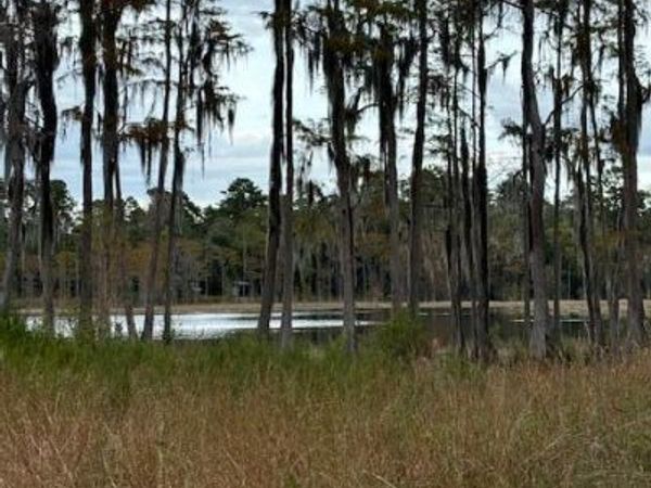 0000 Everest Drive , Chipley, FL 32428