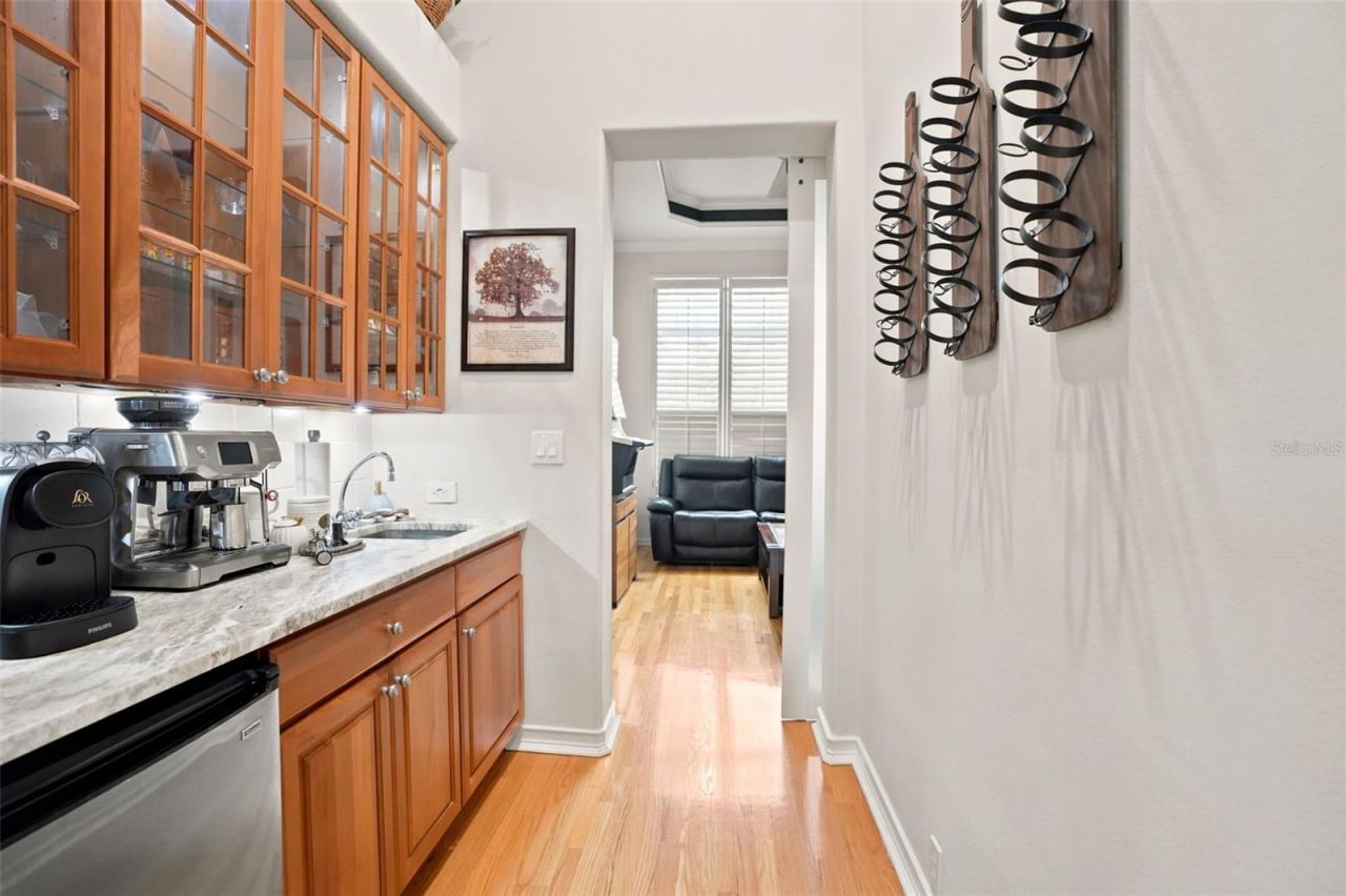 30218 Fairway Drive, Wesley Chapel, FL 33543 Photo
