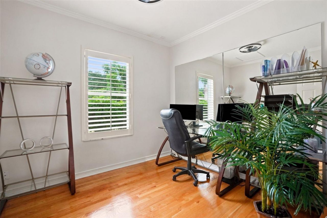 30218 Fairway Drive, Wesley Chapel, FL 33543 Photo