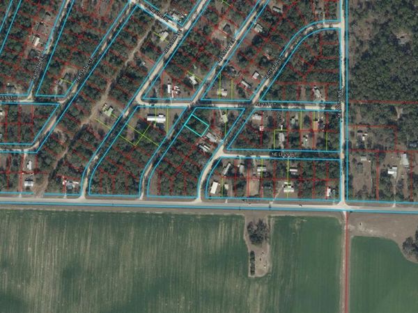 NE 157TH TERRACE , WILLISTON, FL 32696