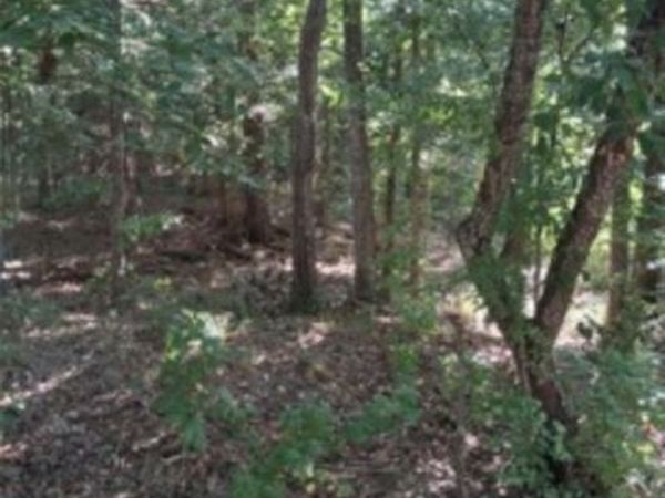 tbd Summit Ridge , Murchison, TX 75778