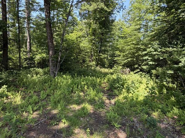 30 Cricket Corner Road, Amherst, NH 03031