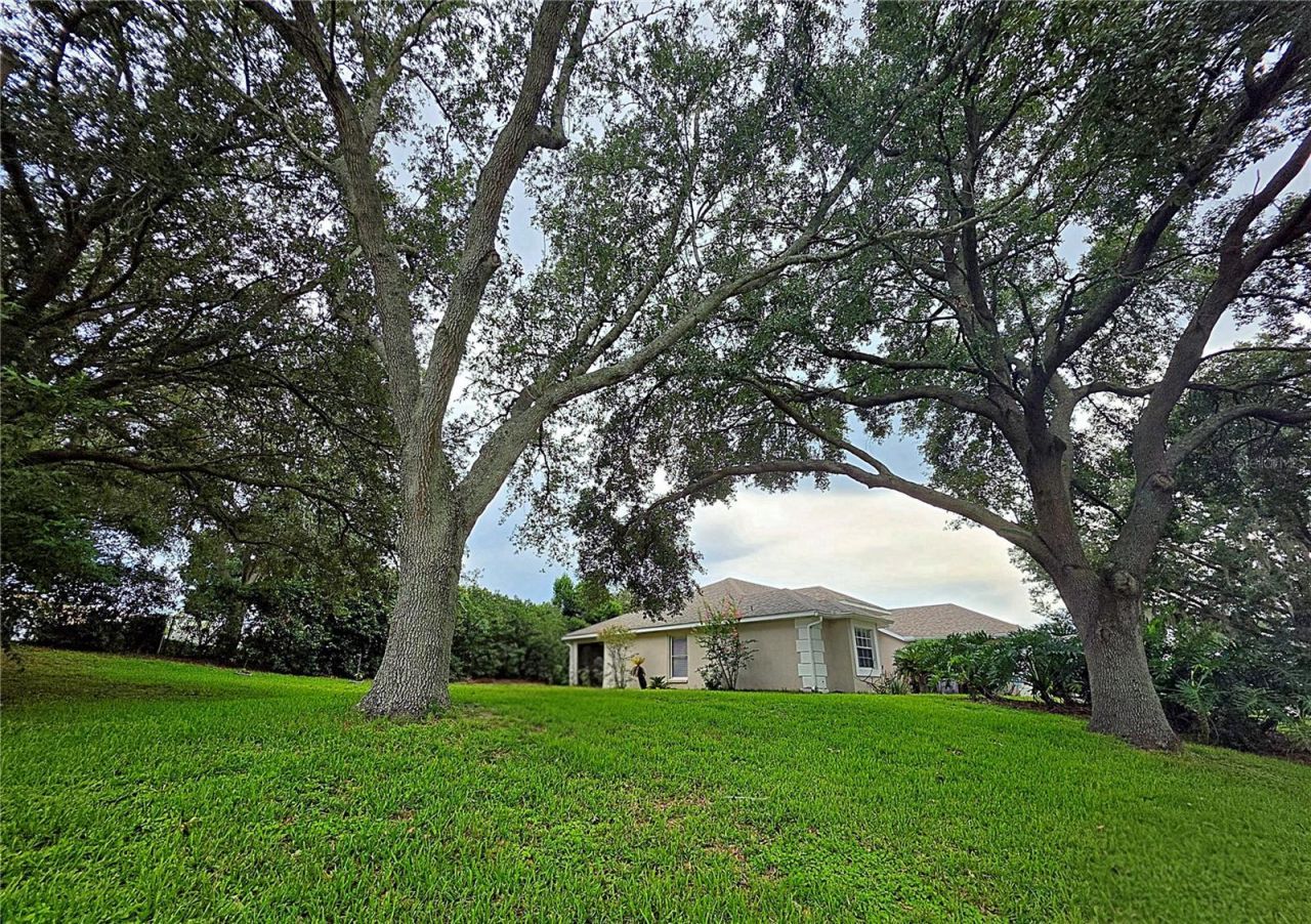 13518 Palo Court , Clermont, FL 34711 Photo