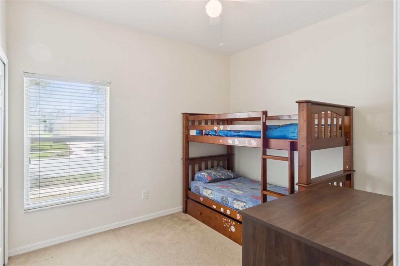 725 Star Pointe Drive , Seffner, FL 33584 Photo