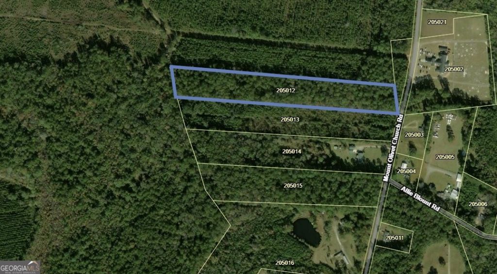 7.75 Ac Mount Olivet Church Road, Fleming, GA 31309 Main Photo