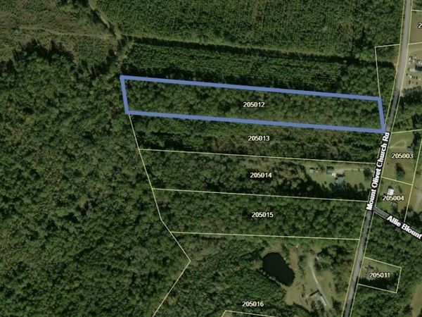7.75 AC Mount Olivet Church Road, Fleming, GA 31309