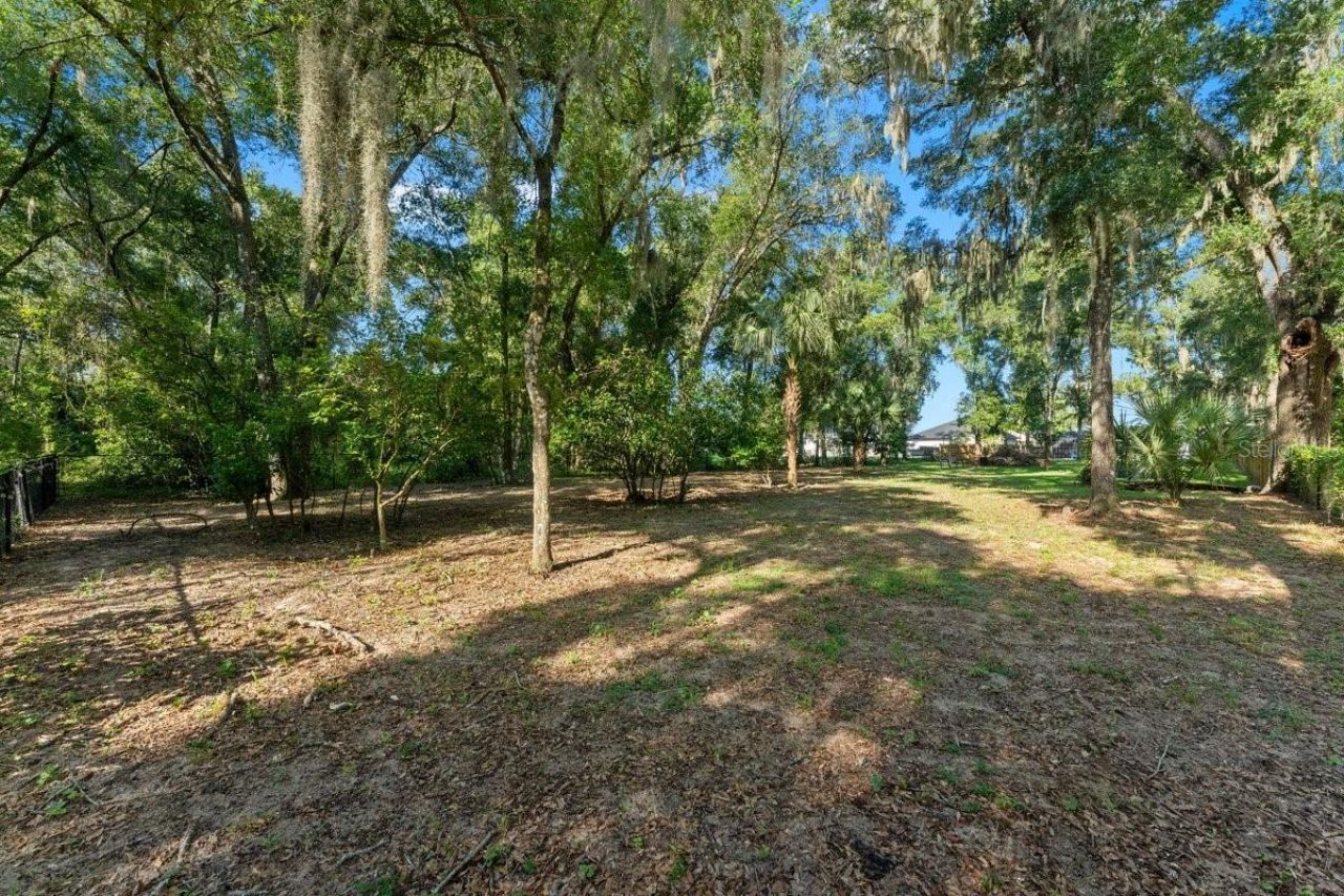 590 Lake Winnemissett Drive, Deland, FL 32724 Photo