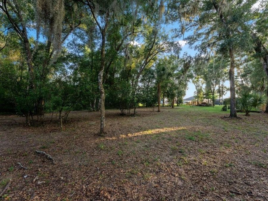 Property Image 58